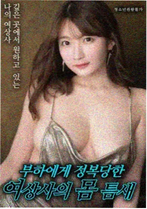 电影《双城倒影》封面